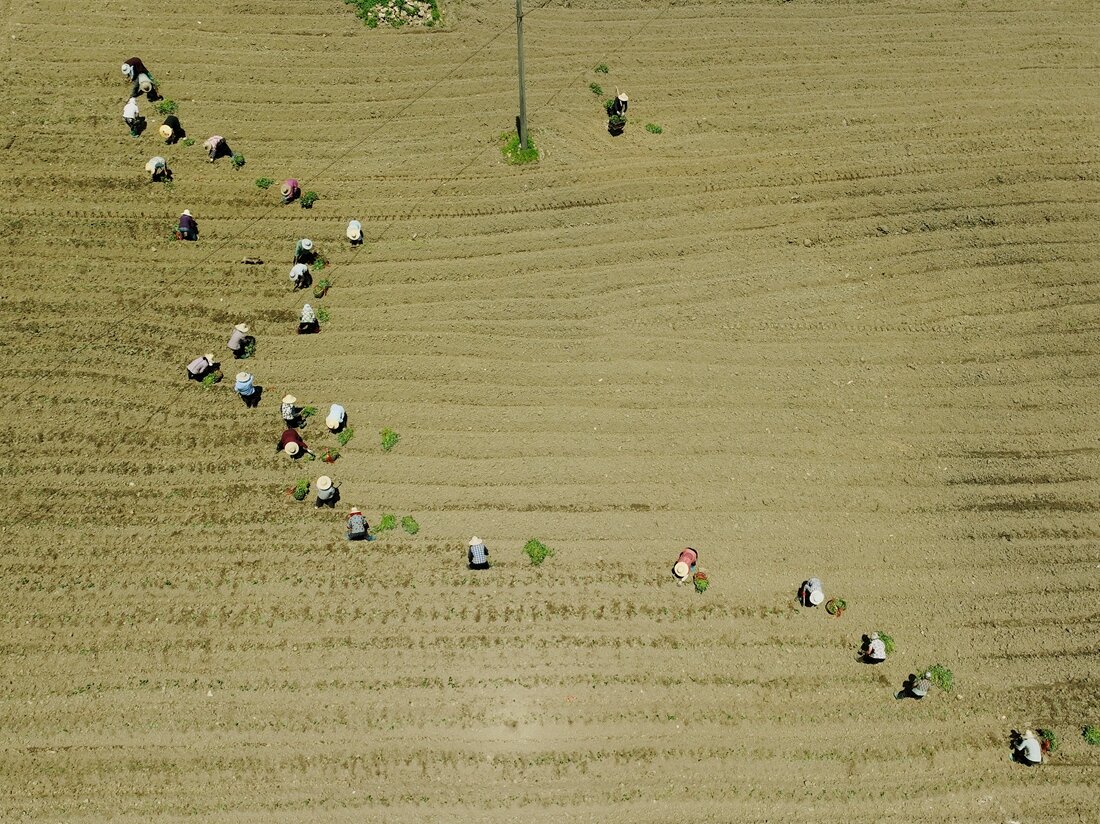 42-大地的旋律  林闽_proc.jpg