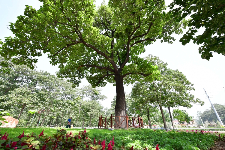 新华社评论员:切实为群众办实事解难题