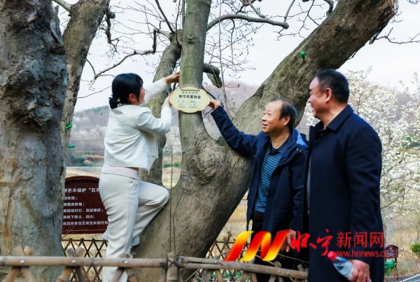 微信图片_20250302081959.jpg