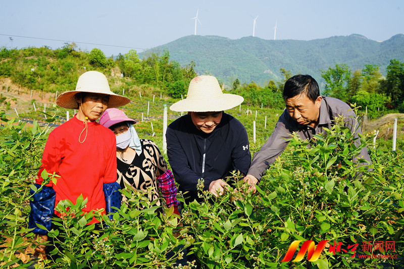 富民强村路上的“兵村干”2.jpg