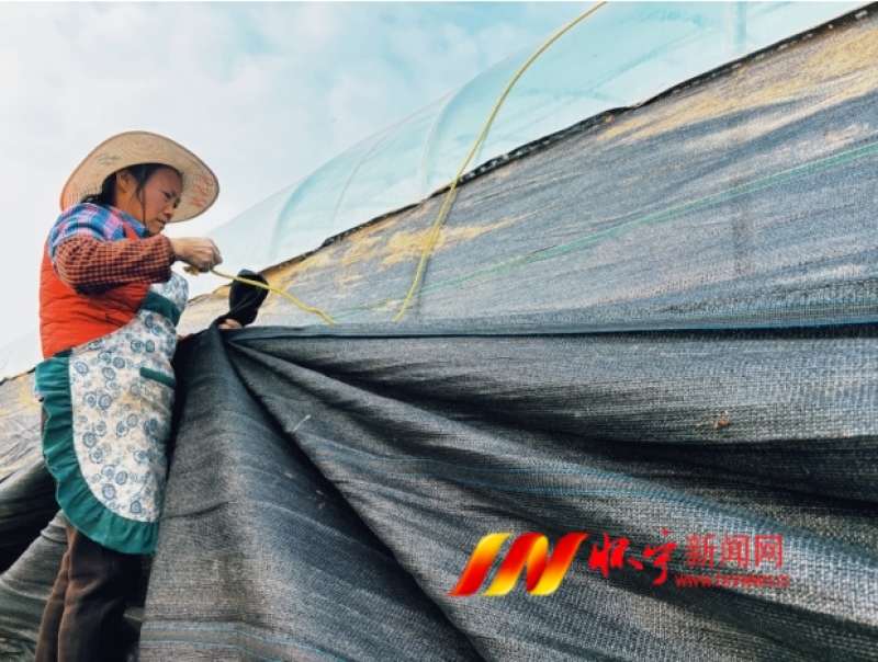 微信截图_20241204162408.png