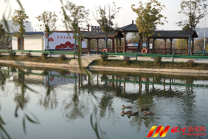和美乡村“鸭”先知.JPG