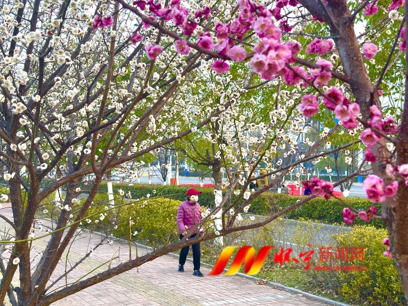 微信图片_20250301094156.jpg