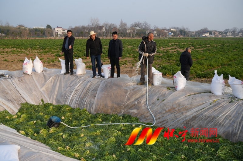 微信图片_20250301095635.jpg