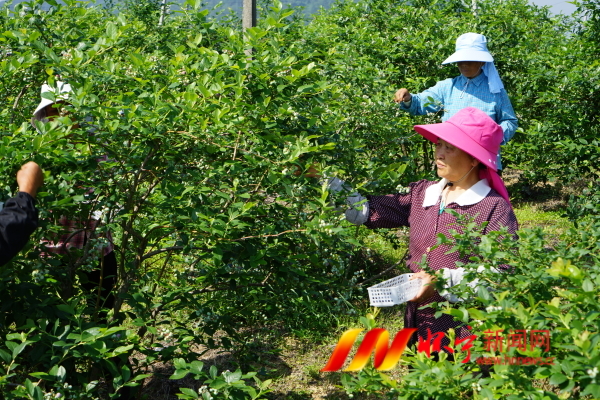 DSC09157.JPG