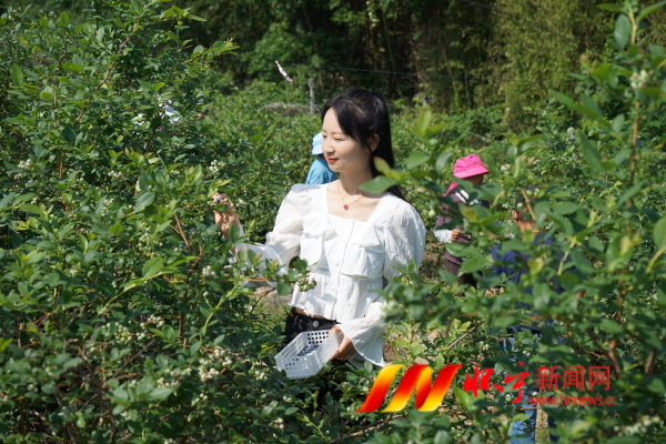 DSC09137.JPG