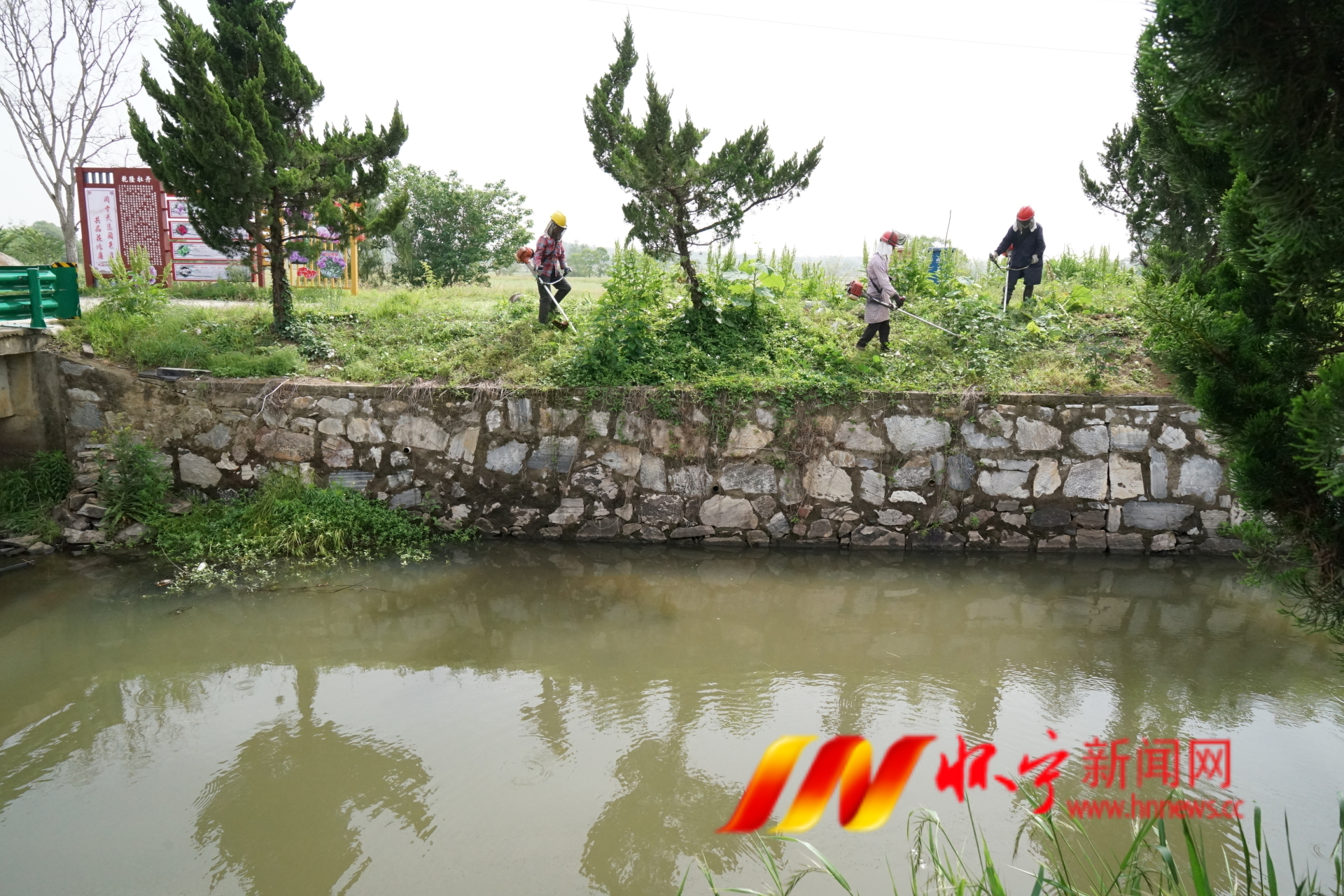 堤坝扫障除隐患.JPG