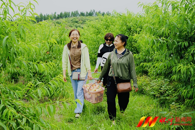 安徽怀宁县雷埠乡“靠山吃山”越吃越香.jpg
