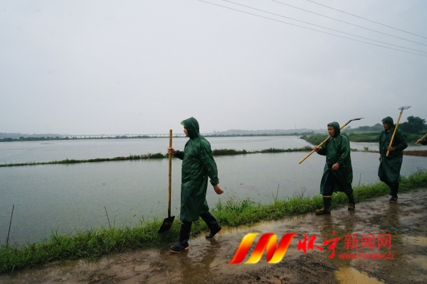 DSC09623.JPG