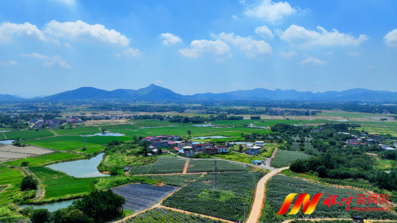 DJI_0802_副本.jpg