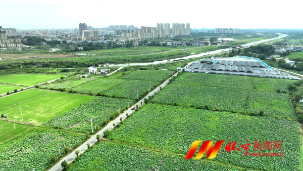 DJI_0908.JPG