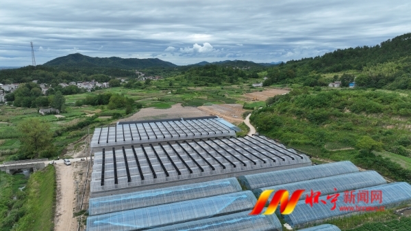DJI_0195.JPG