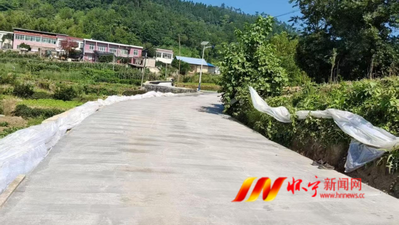 新龙道路.png