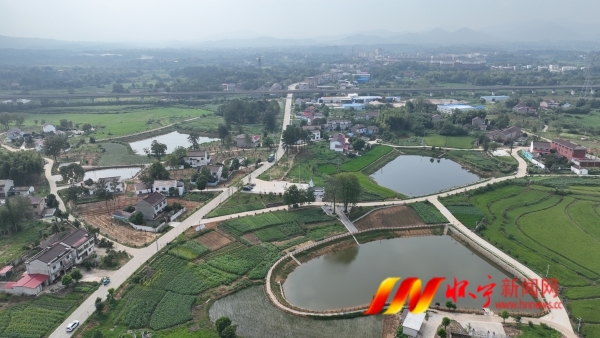 DJI_0323.JPG