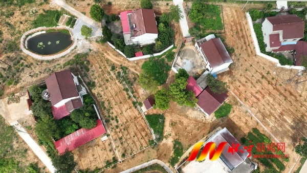 DJI_0337.JPG