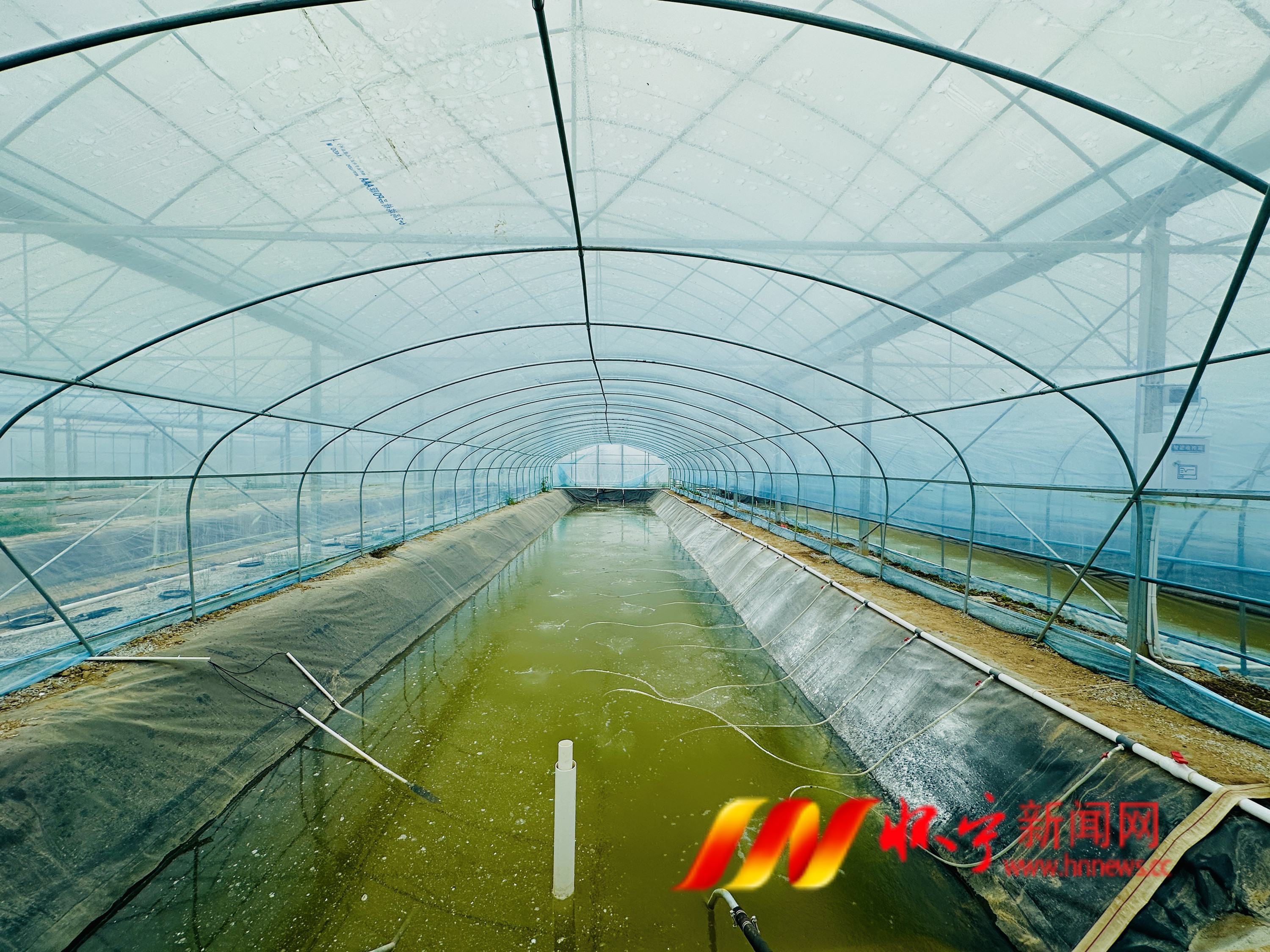 智能养虾 点水成3金.JPG