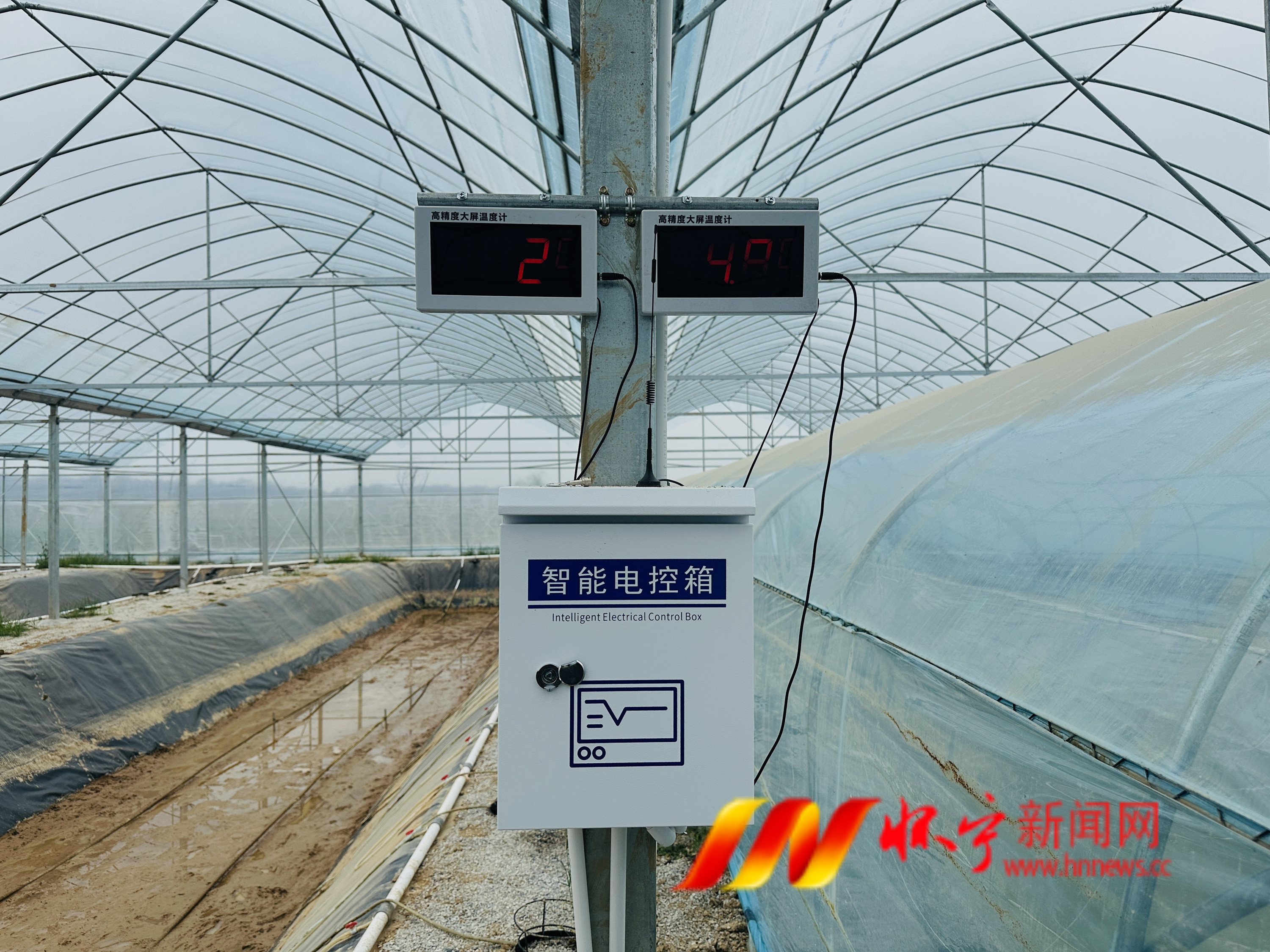 智能养虾 点水成2金.JPG